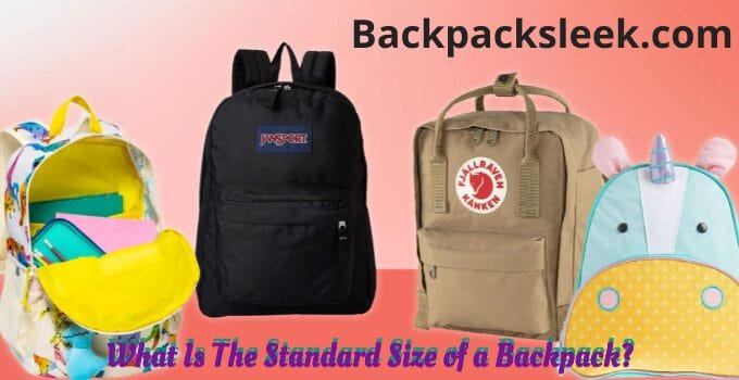 What Is The Standard Size of a Backpack